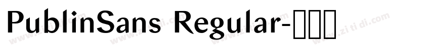 PublinSans Regular字体转换